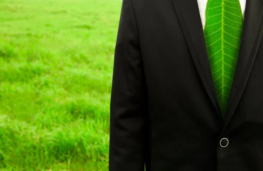 Eco-friendly office cleaning supplies and a green-cleaned workspace