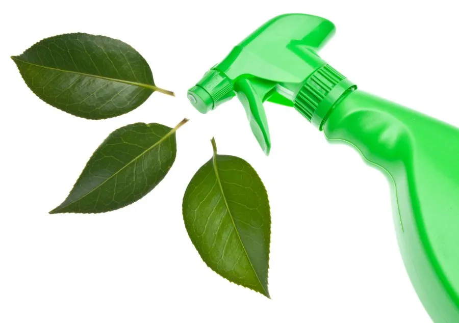 Green cleaning techniques in a workplace setting
