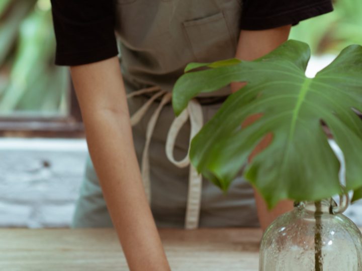 The Power of Green Cleaning Workplace: Frisco Brothers Janitorial McKinney Texas